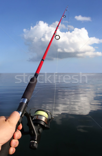 fishing Stock photo © mikdam