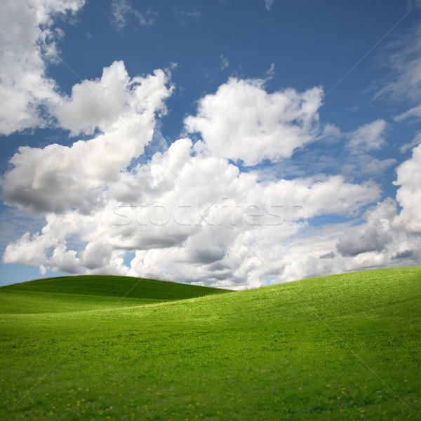 Foto stock: Verde · campo · paisagem