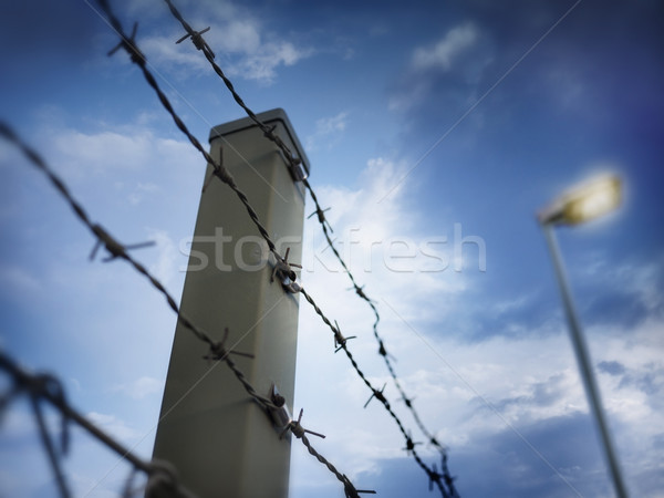 Alambre de púas cielo fondo seguridad azul Foto stock © mikdam