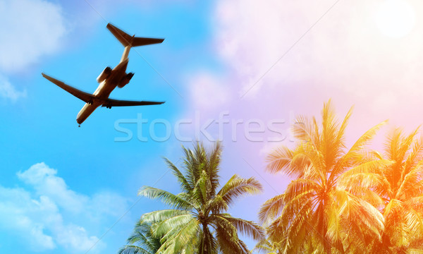 	Airplane above the clouds Stock photo © mikdam