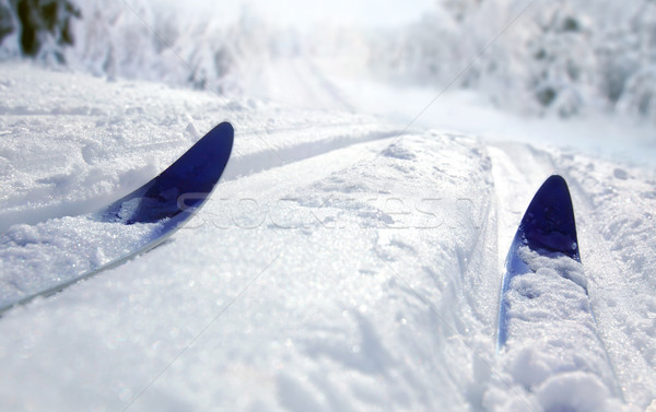 クロス 国 スキー ストックフォト © mikdam