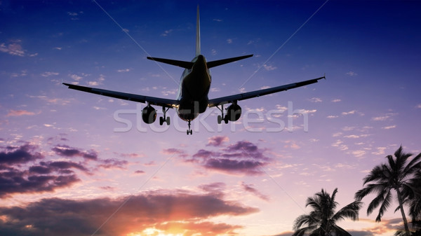飛機 日落 太陽 樹 橙 雲 商業照片 © mikdam