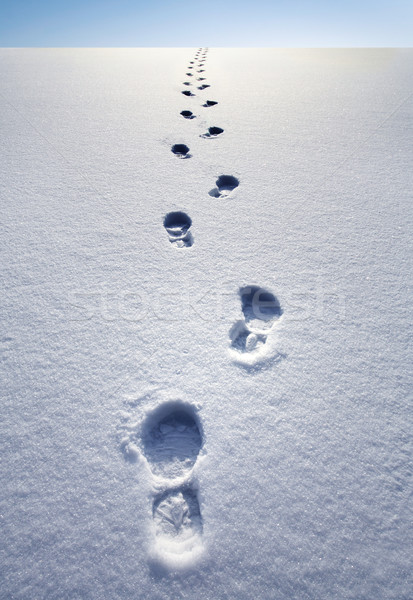 Zimą ścieżka charakter śniegu buty podróży Zdjęcia stock © mikdam