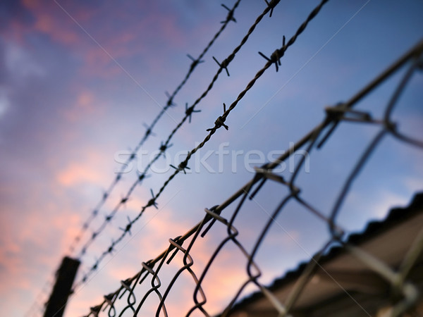	barbed wire against evening sky Stock photo © mikdam