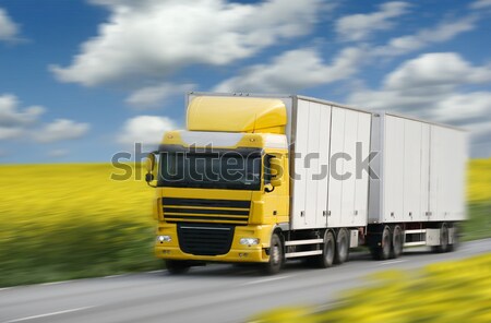 Vrachtwagen rijden weg snelweg snelheid verkeer Stockfoto © mikdam