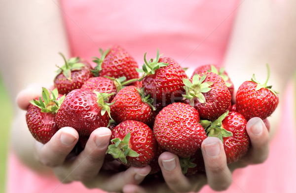 Freshly Picked Strawberries Stock photo © mikdam