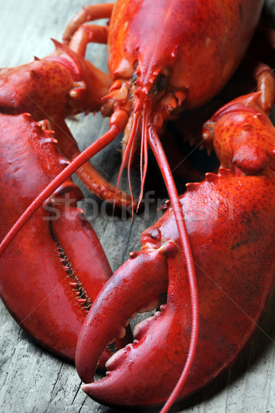 Foto stock: Inteiro · vermelho · lagosta · madeira · comida · mar