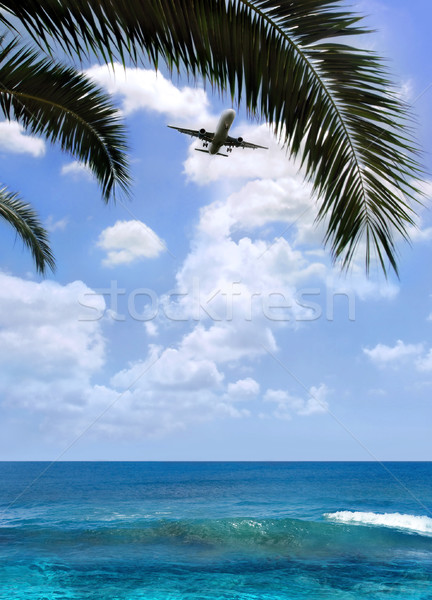 Airplane over palm Stock photo © mikdam