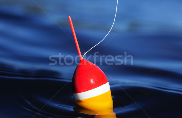 Cork Floating on Calm Lake Stock photo © mikdam
