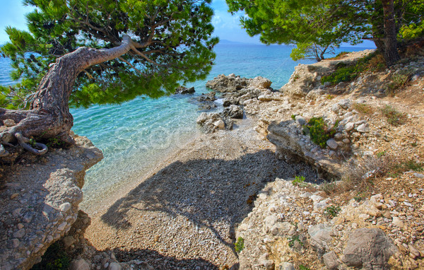 Croazia spiaggia mare pietra onda Europa Foto d'archivio © mikdam