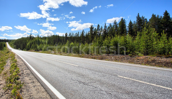 Country Highway Stock photo © mikdam