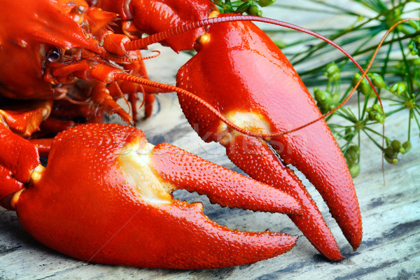 Pre-boiled crayfish  Stock photo © mikdam