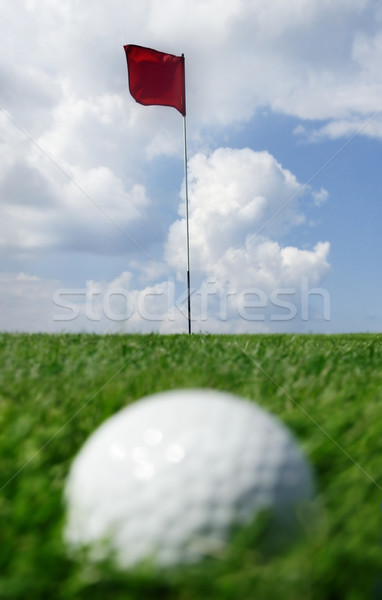 golf ball and flag Stock photo © mikdam
