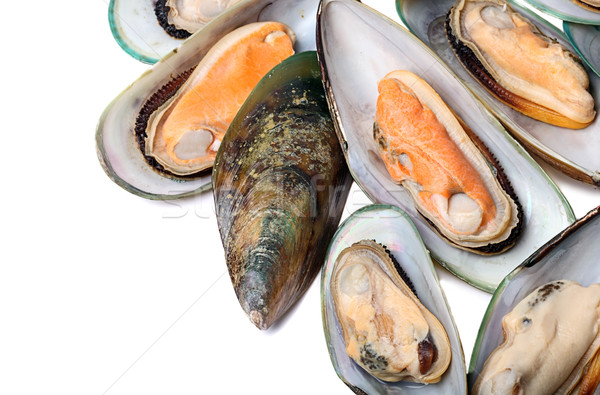 Mussel  Stock photo © mikdam