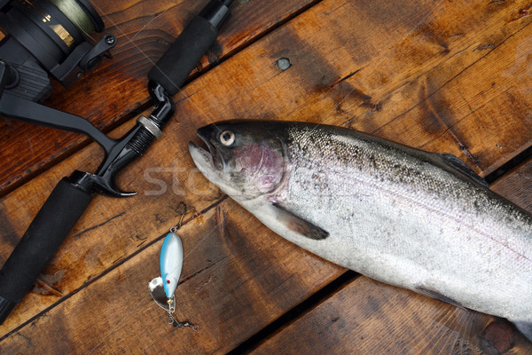 Freshly caught salmon lying on the footbridge with fishing rod Stock photo © mikdam