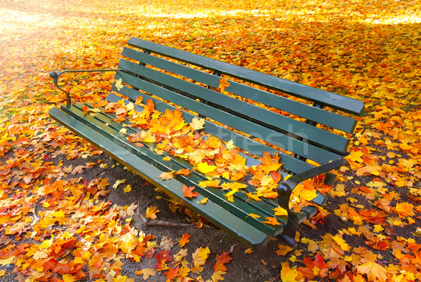 vacant park bench in autumn Stock photo © mikdam