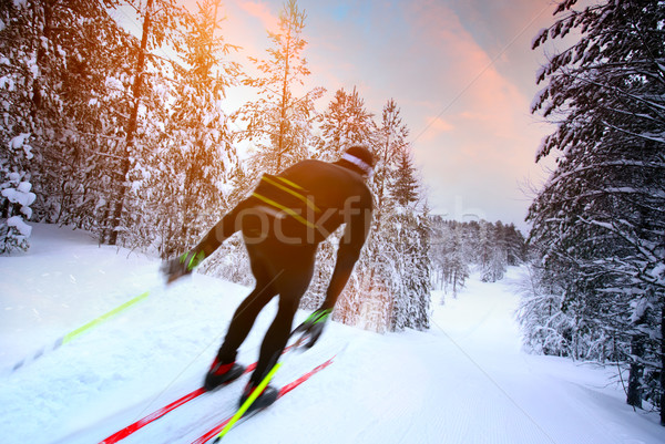 Cross-country skiing in Sweden Stock photo © mikdam