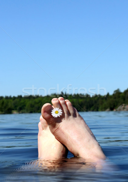 Nem leírás nyár kék lábak tó Stock fotó © mikdam