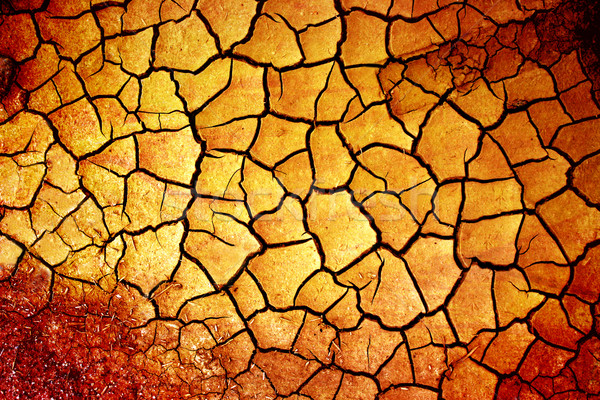 dry earth  Stock photo © mikdam