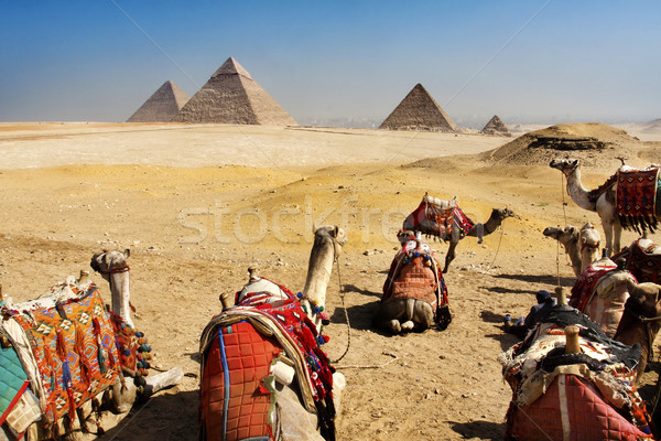 Giza Piramitleri Kahire Mısır Afrika Stok fotoğraf © mikdam