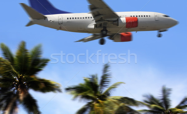 Palm vliegtuig hemel zon snelheid vrijheid Stockfoto © mikdam