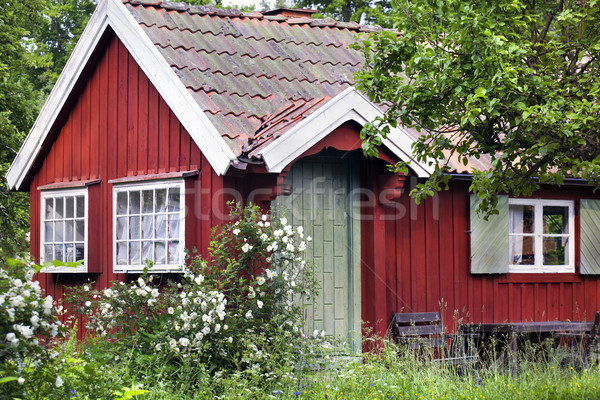 Rosso estate casa Svezia erba legno Foto d'archivio © mikdam