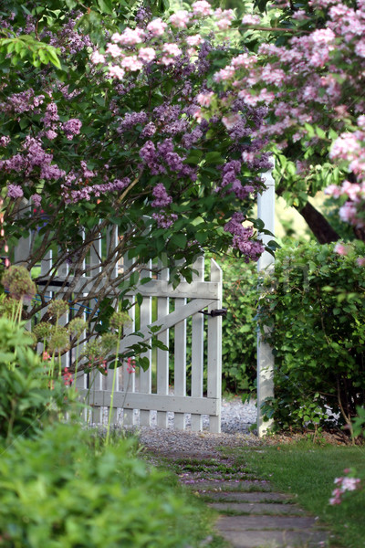 Сток-фото: ворот · открытых