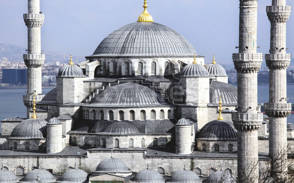 ストックフォト: 青 · モスク · イスタンブール · ツリー · 光 · アーキテクチャ
