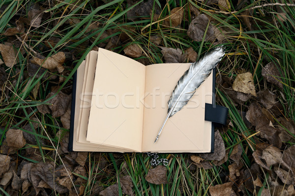 Magie livre argent stylo fond vert [[stock_photo]] © mike_kiev