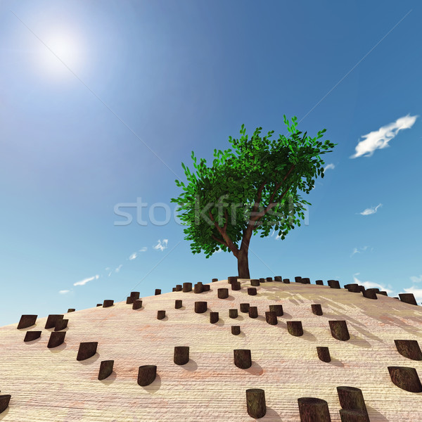 Einsamen Baum Sonne abstrakten Bereich grünen Stock foto © mike_kiev