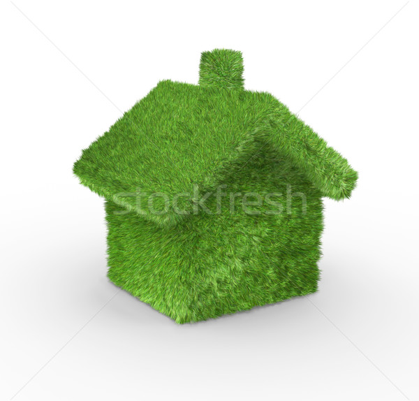 Herbe verte maison herbe nature design maison [[stock_photo]] © mike_kiev