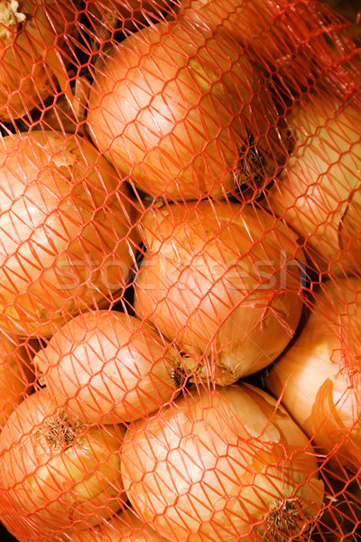 Maduro cebolla bolsa comer agricultura saludable Foto stock © mikhail_ulyannik