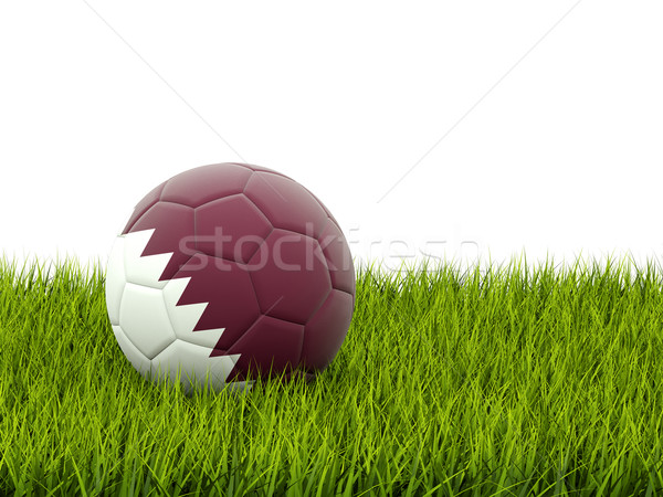 Football pavillon Qatar herbe verte football monde [[stock_photo]] © MikhailMishchenko