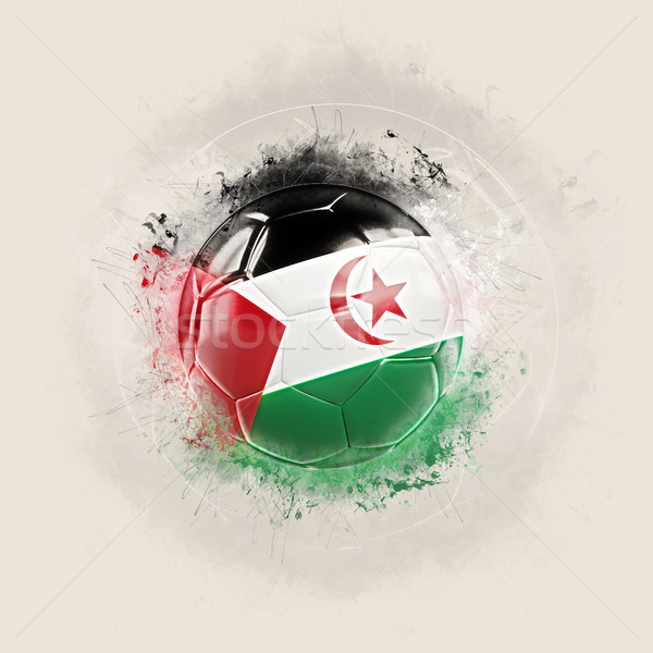 Grunge football with flag of western sahara Stock photo © MikhailMishchenko