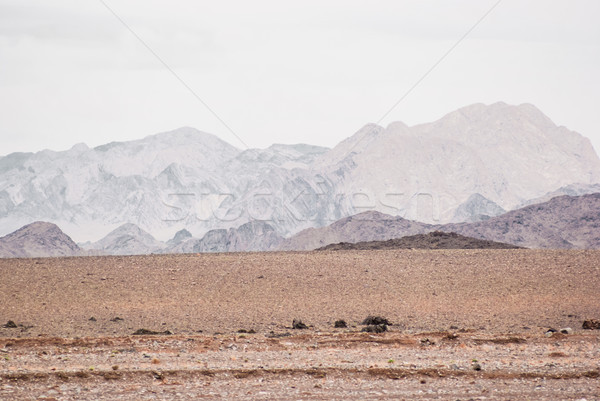Plateau na południowy zachód wschodniej pustyni podróży kraju Zdjęcia stock © MikhailMishchenko
