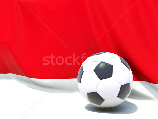 Banderą Monaco piłka nożna zespołu kraju Zdjęcia stock © MikhailMishchenko