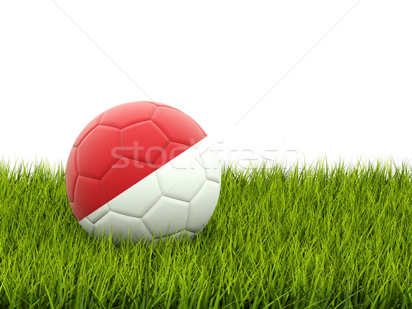 Foto stock: Fútbol · bandera · Mónaco · hierba · verde · fútbol · mundo