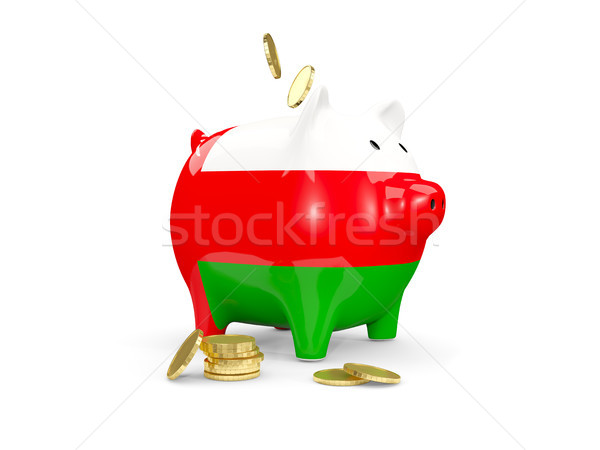 Vet spaarvarken Oman geld geïsoleerd witte Stockfoto © MikhailMishchenko