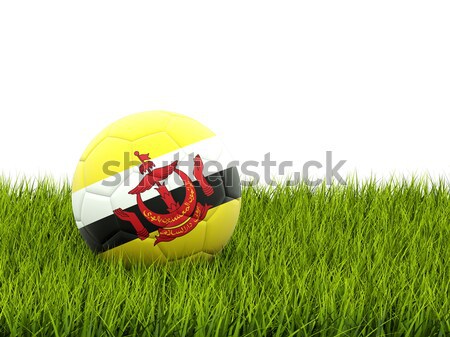 Football with flag of saint kitts and nevis Stock photo © MikhailMishchenko