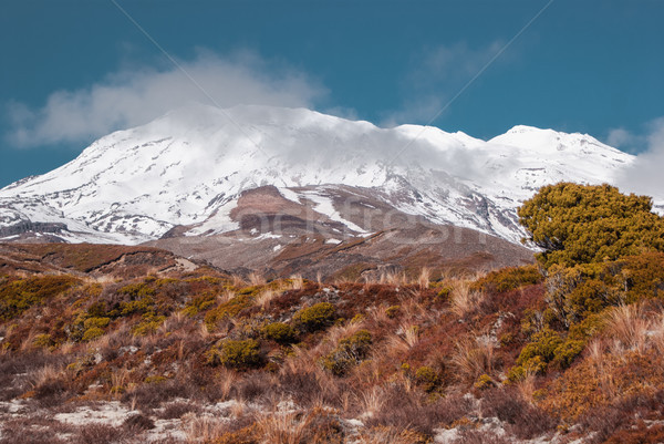 Stock photo: Alpine scenery at Tongariro national park. Hiking in New Zealand
