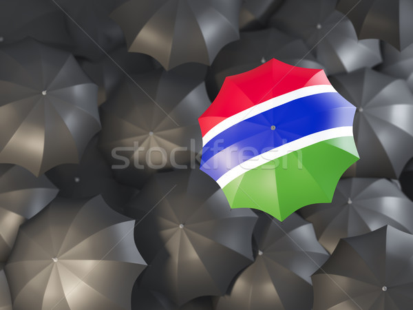 Dach Flagge Gambia top schwarz Regenschirme Stock foto © MikhailMishchenko