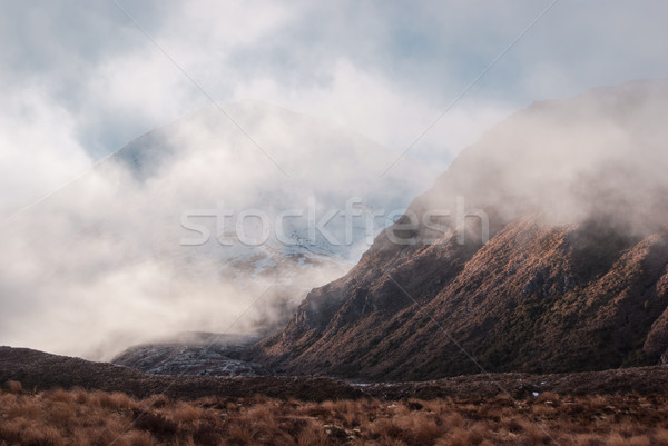 Alpine manzara park yürüyüş Yeni Zelanda kuzey Stok fotoğraf © MikhailMishchenko