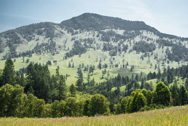 Alpine scenery at Altai Mountains Stock photo © MikhailMishchenko