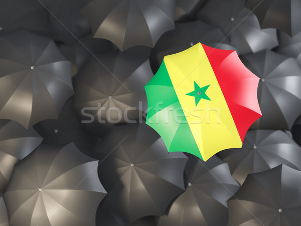 Foto stock: Paraguas · bandera · Senegal · superior · negro · paraguas