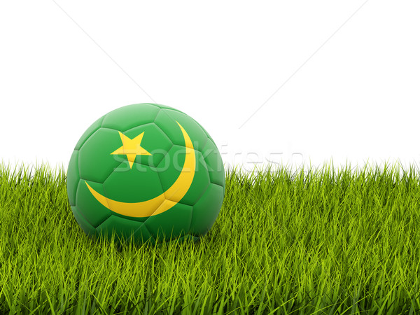 футбола флаг Мавритания зеленая трава Футбол области Сток-фото © MikhailMishchenko