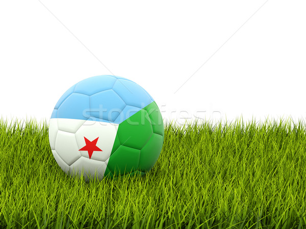 Futebol bandeira Djibouti grama verde futebol campo Foto stock © MikhailMishchenko