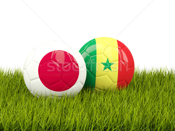Japonia vs Senegal fotbal steaguri verde Imagine de stoc © MikhailMishchenko
