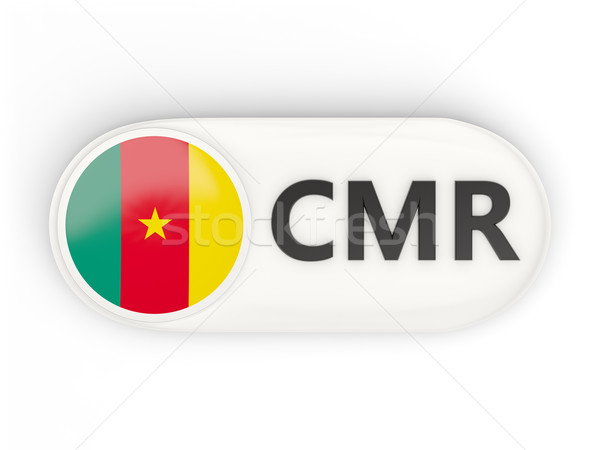 Ikon bayrak Kamerun iso kod ülke Stok fotoğraf © MikhailMishchenko