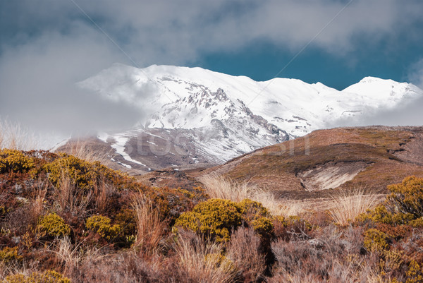阿爾卑斯山的 風景 公園 徒步旅行 新西蘭 北 商業照片 © MikhailMishchenko
