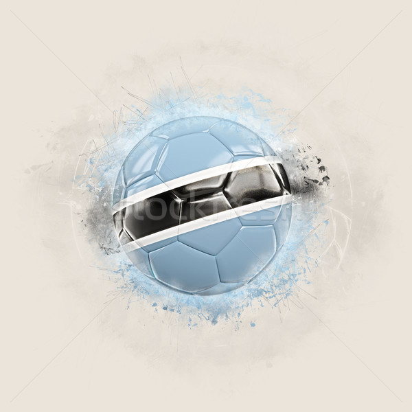 Grunge calcio bandiera Botswana illustrazione 3d mondo Foto d'archivio © MikhailMishchenko